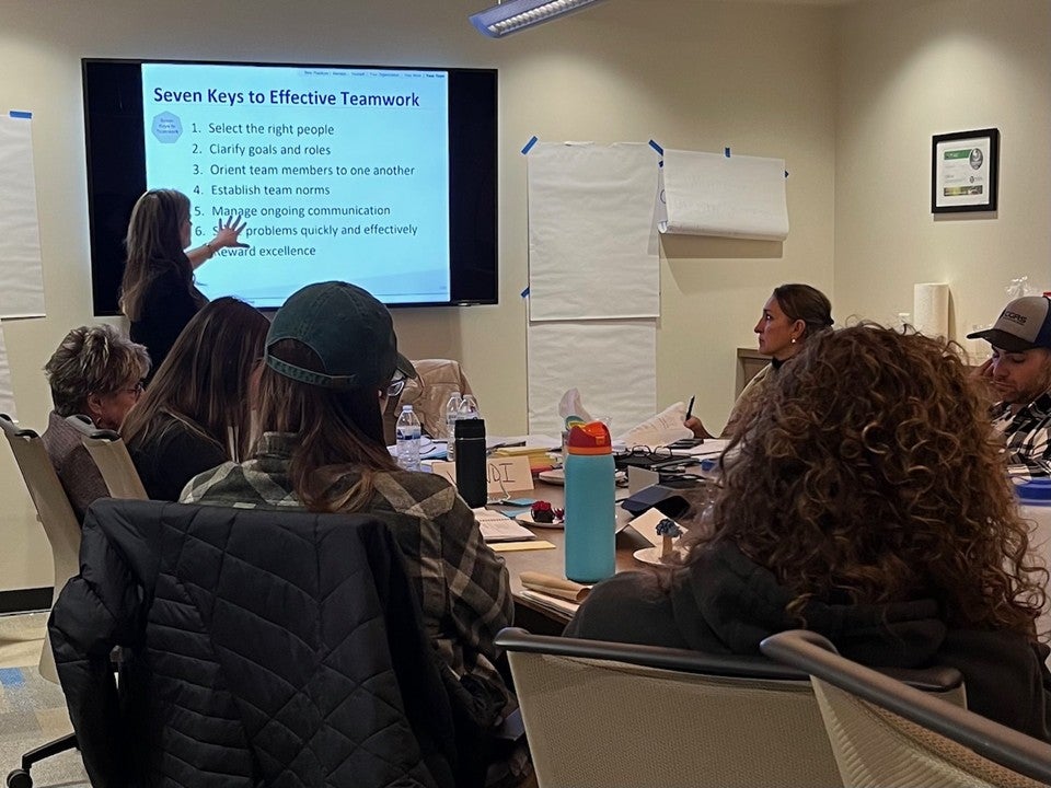 people sitting at a table looking at presenter who is standing and pointing to words on bright presentation screen