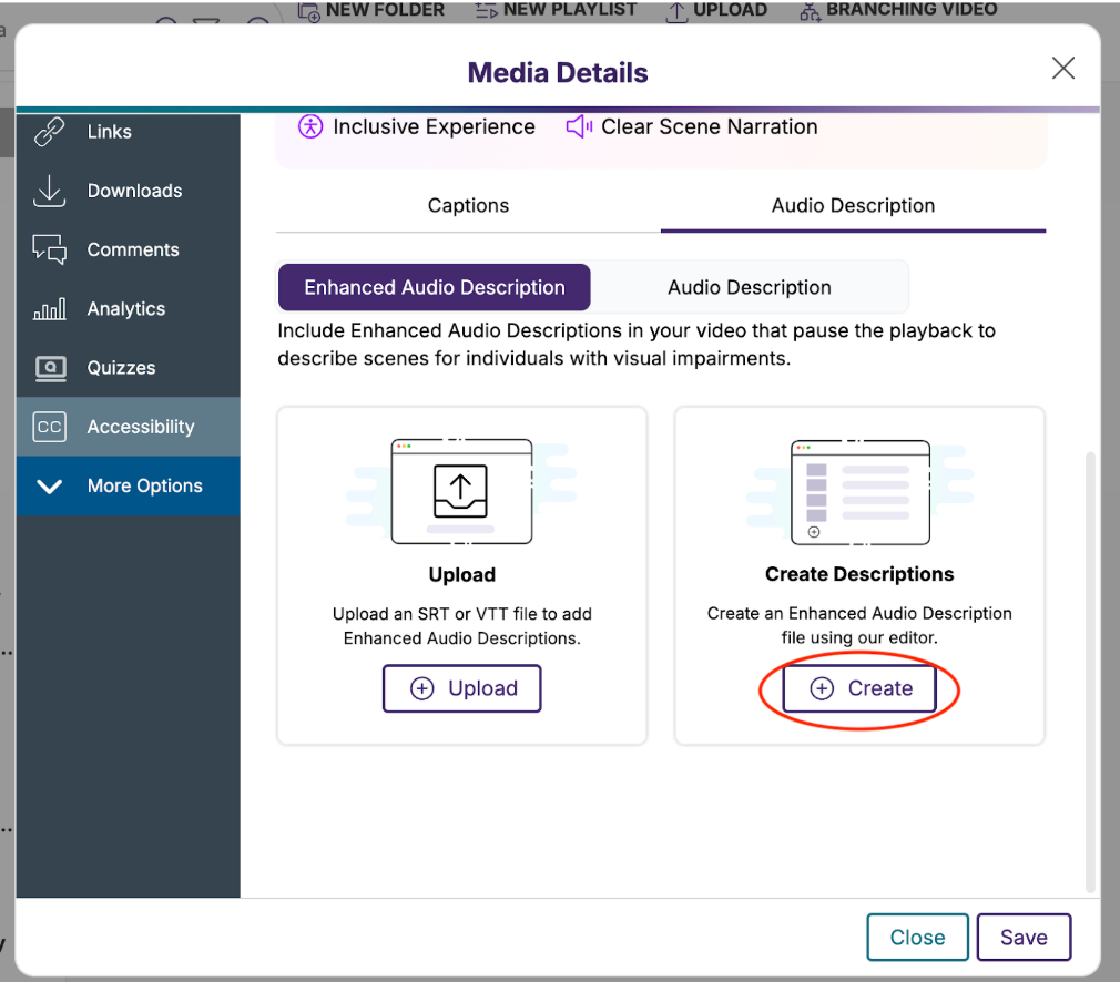 Media details audio description