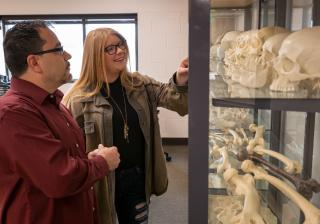 Students in classroom examining skeletal remains