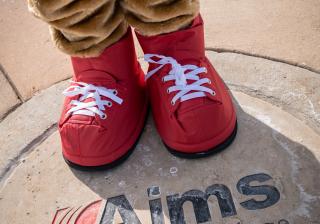 Arty's Feet