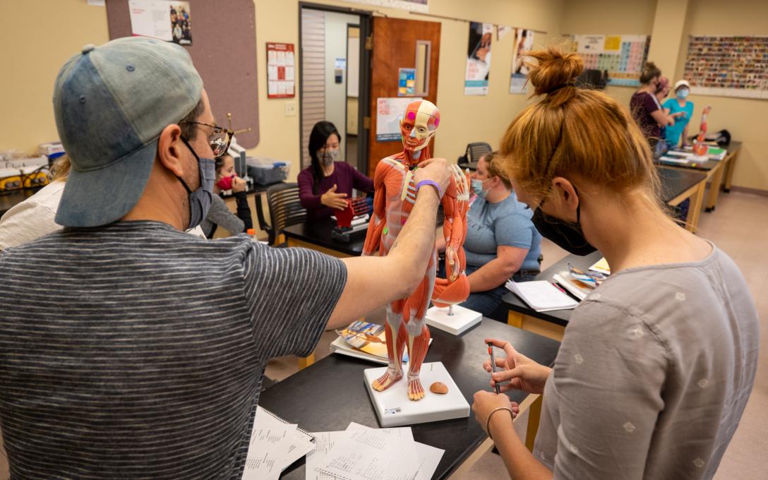 Aims students working with an anatomical model in a biology classroom