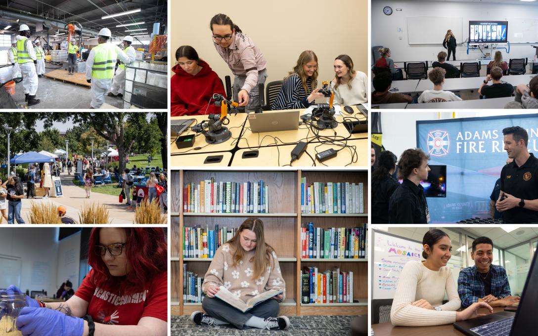 Collage hands on learning, studying and networking opportunities at Aims