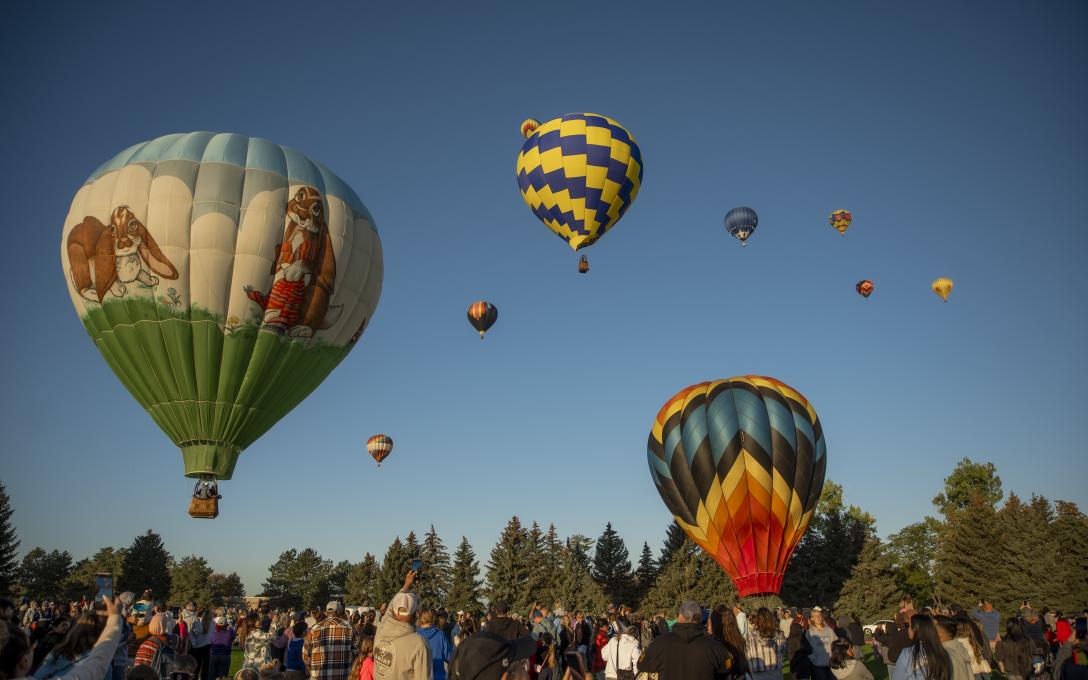 Crowd and Hot Air Balloons at Aims Aardvark Embark