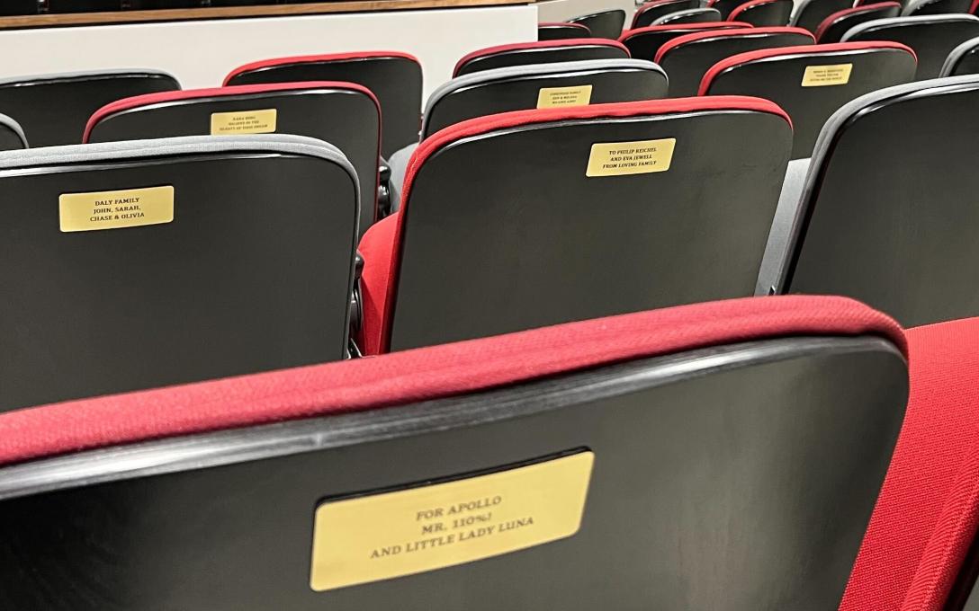 Example of Seat Plate on seat back