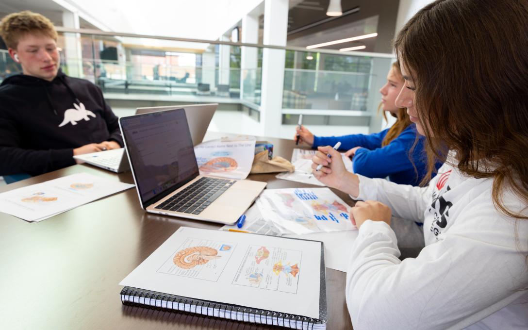 3 students on laptops