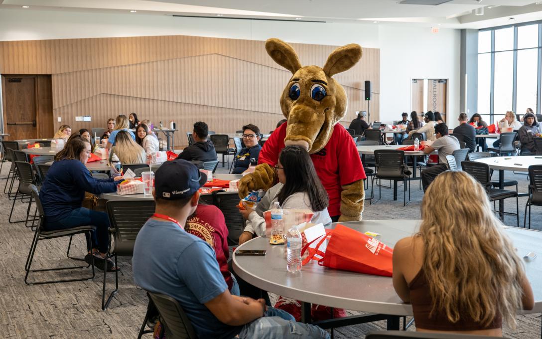 Aims students chat with Arty the Aardvark on the first day back to campus in the lounge