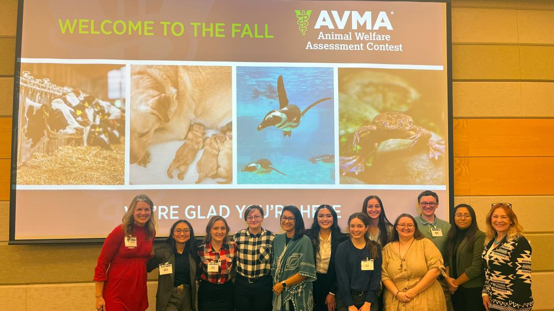 Group posting at Animal Welfare Conference