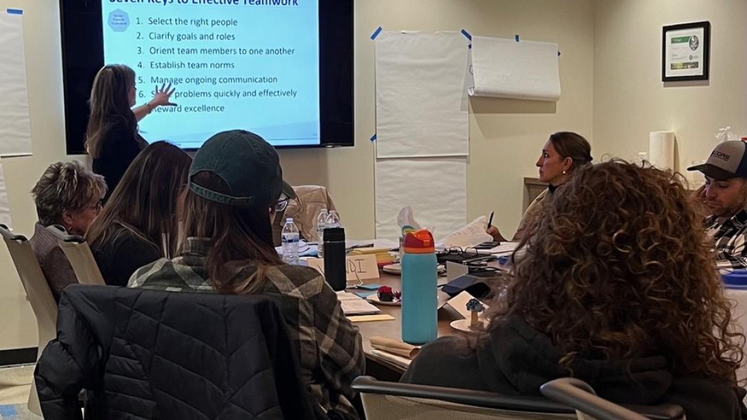 people sitting at a table looking at presenter who is standing and pointing to words on bright presentation screen