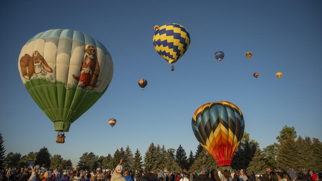 Crowd and Hot Air Balloons at Aims Aardvark Embark