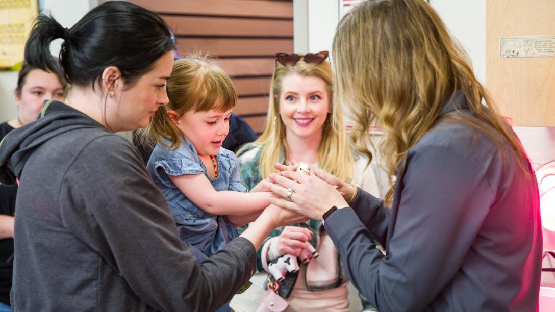 People look at baby chicks at Ag Day Open House