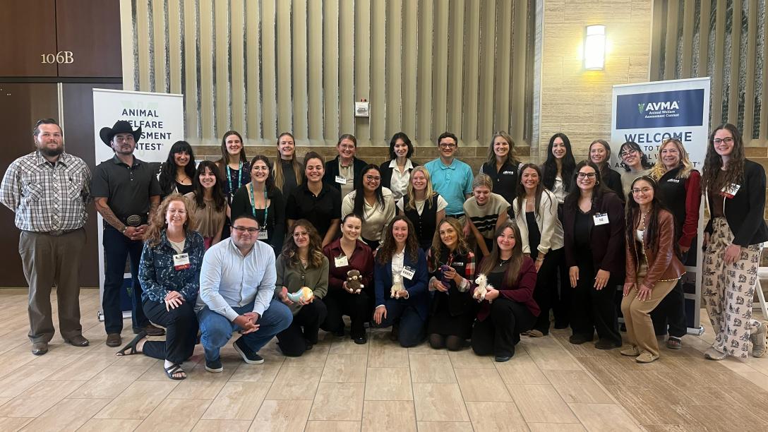 Aims Group at American Veterinary Medical Association Animal Welfare Assessment Contest