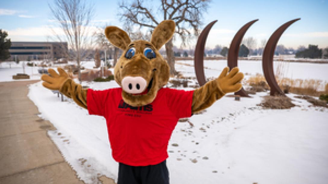 Aardvark Mascot outside in snow