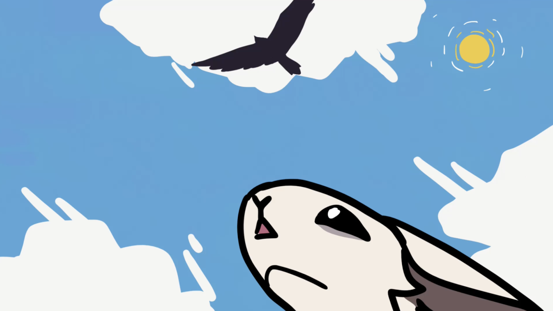 Bunny looking at bird in sky