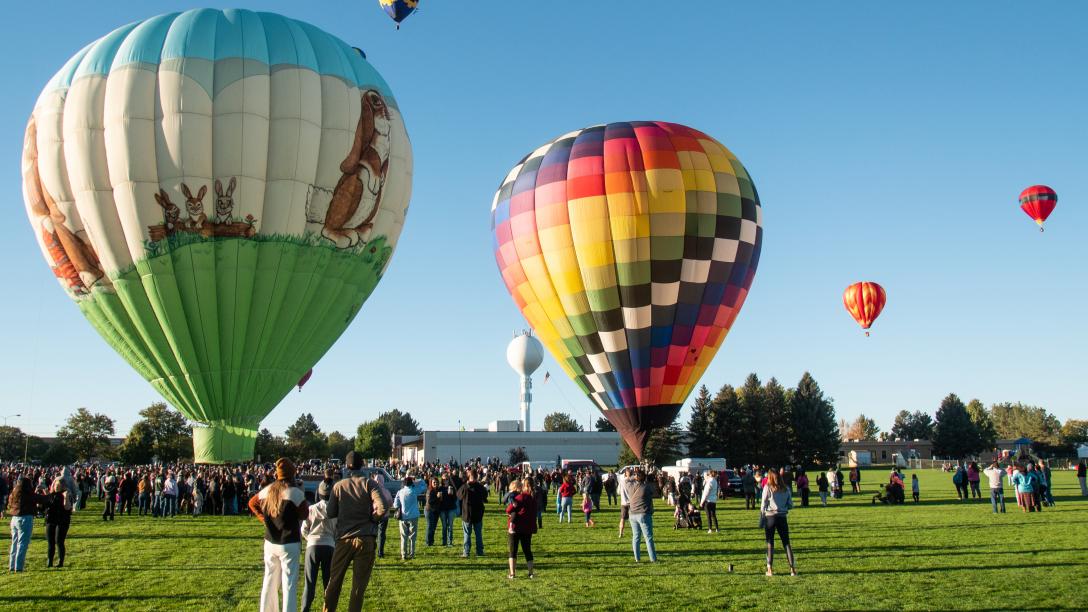 Great Aardvark Embark with hot air balloons and crowd