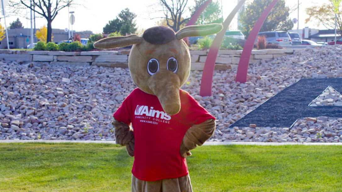 Aardvark Mascot