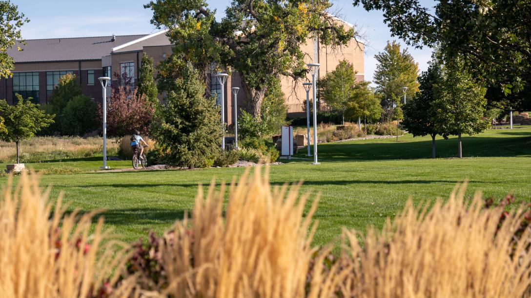 Greeley Campus building behind tall grass