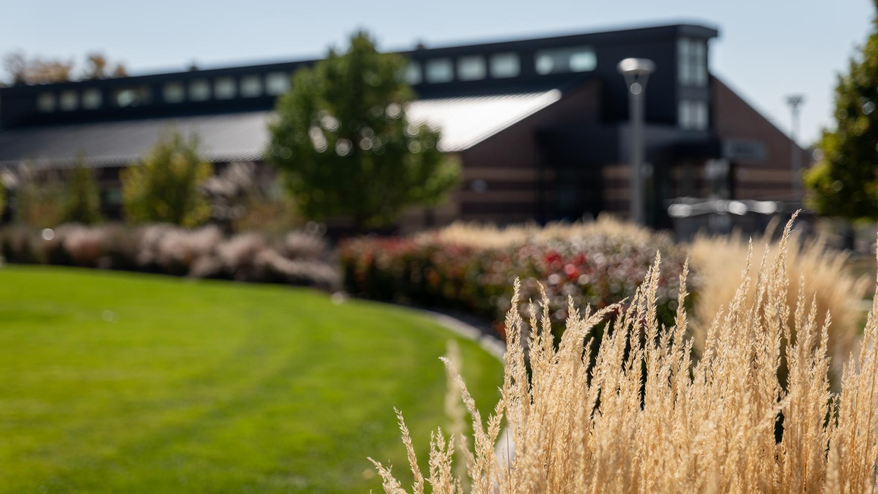 Aims Greeley Campus in the fall