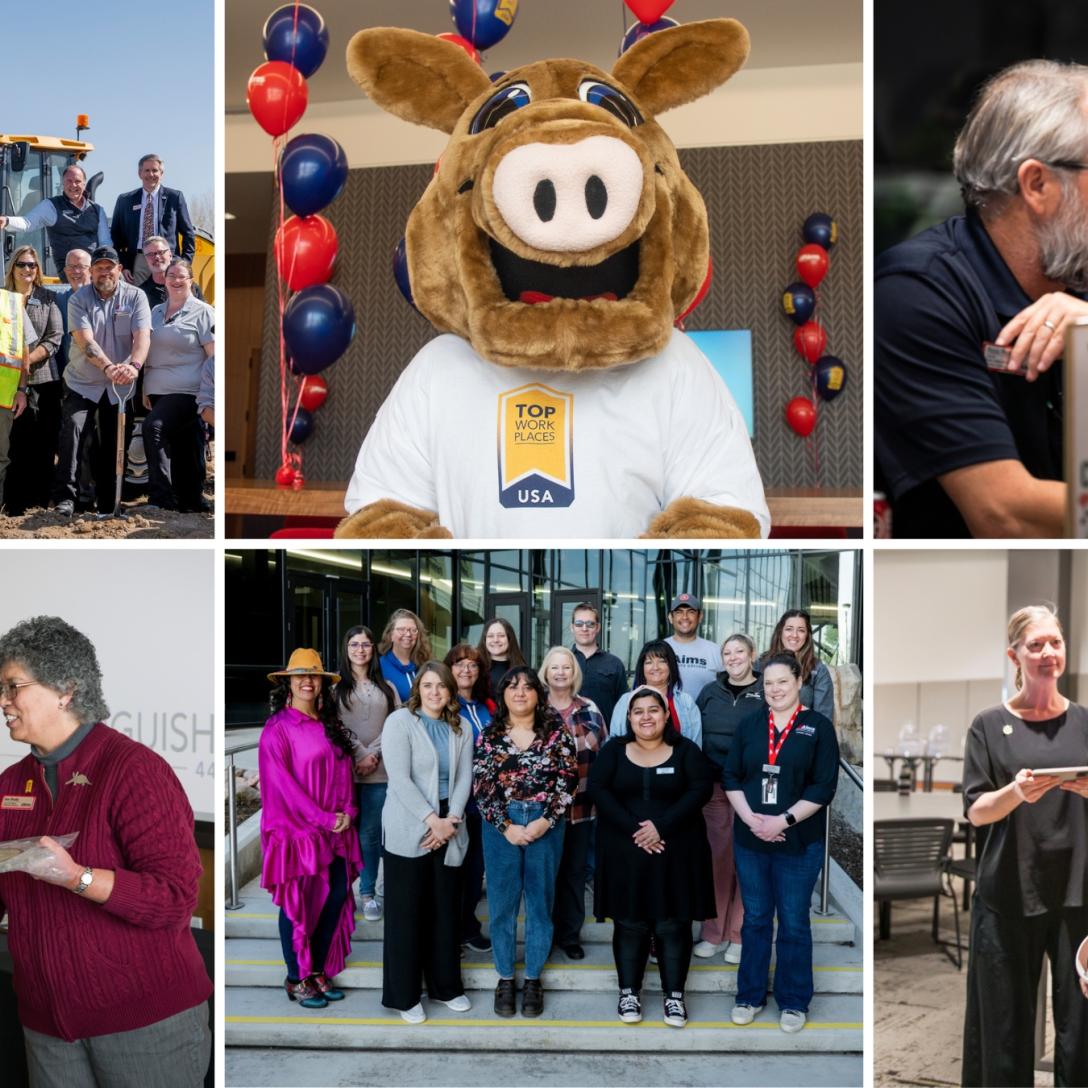 Collage of Aims Employees