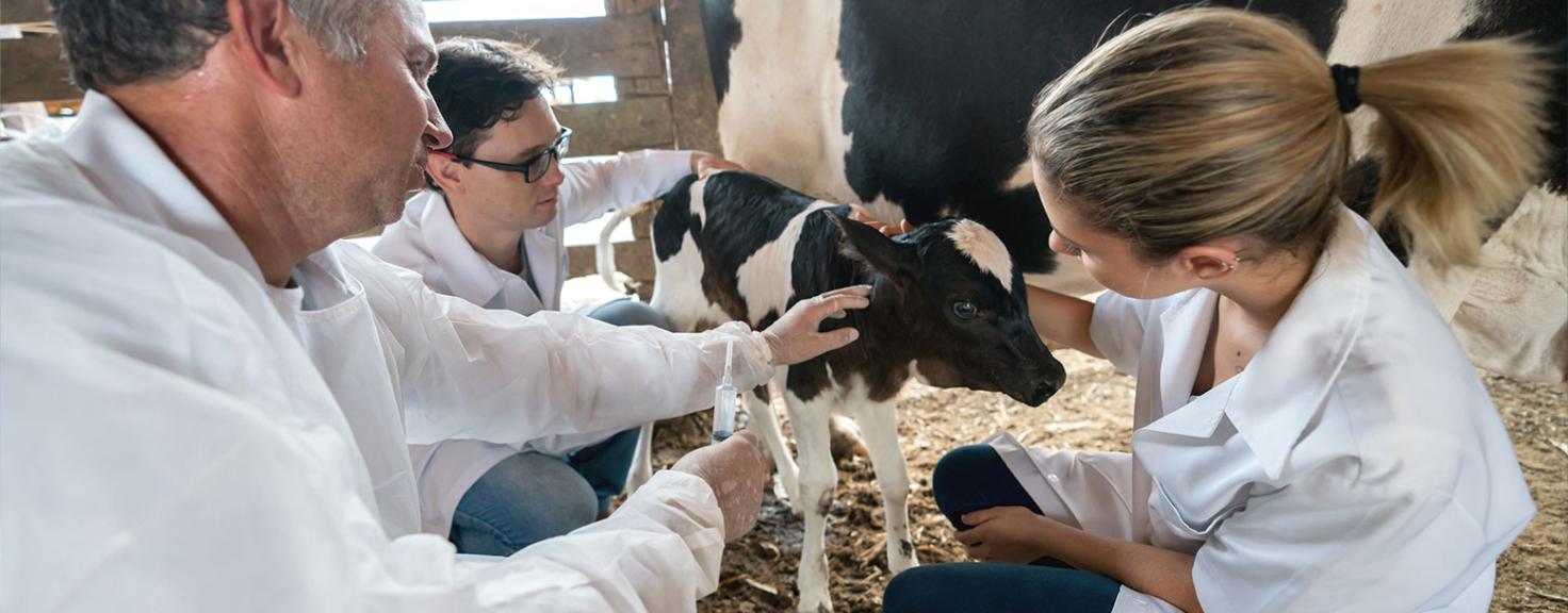 Animal Science Associate Degree Aims Community College