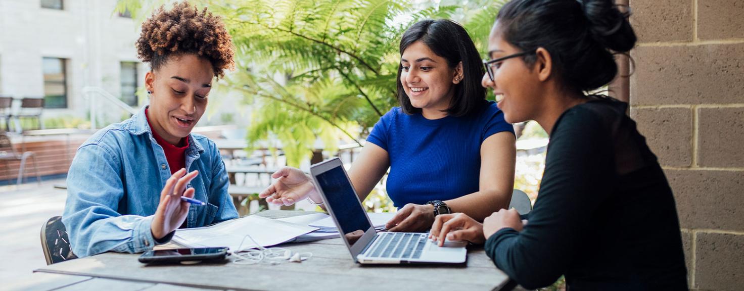 Business students studying
