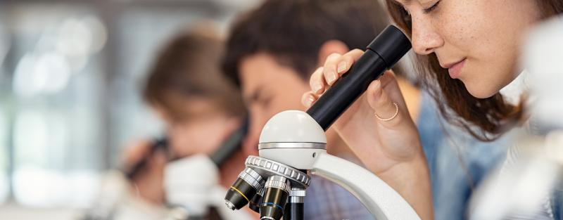 A row of students look into microscopes.
