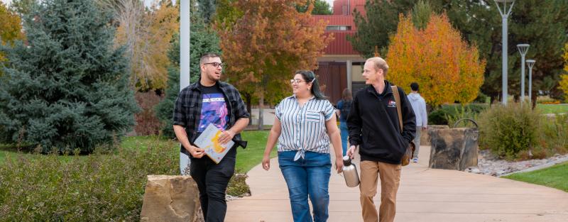 Three students chat with each other as they walk along a treelined path.