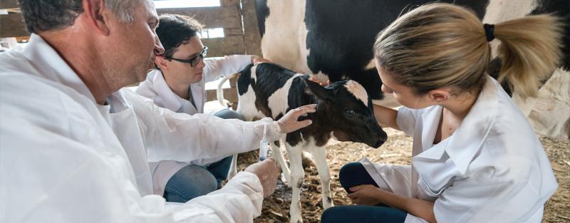 Animal Science Associate Degree | Aims Community College