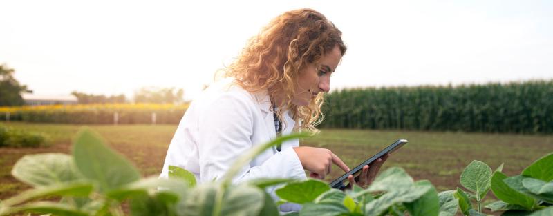 Soil and crop sciences student in the field