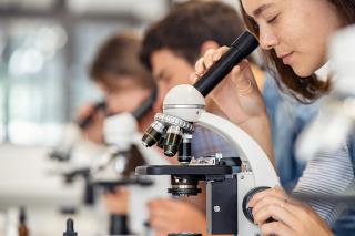 A row of students look into microscopes.