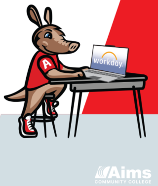 Arty working at a laptop