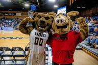 Arty the Aardvark Mascot at UNC Basketball Game