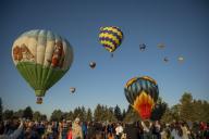 Crowd and Hot Air Balloons at Aims Aardvark Embark