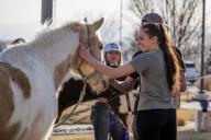 horses at Ag Day petting farm