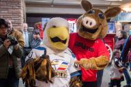 Arty the Aardvark mascot and the Colorado Eagles mascot pose together