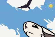 Bunny looking at bird in sky