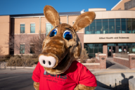 Arty the Aardvark Mascot