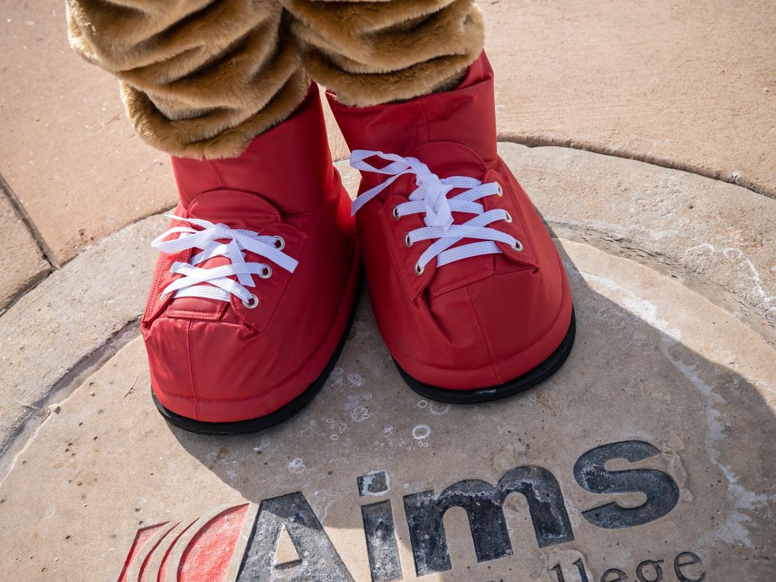 Arty's Feet