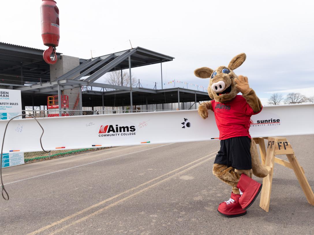 Arty with Signed Beam