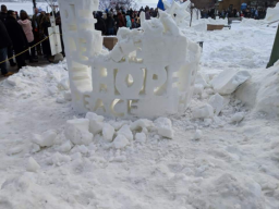 Carrie Thompson's competitive ice sculpture