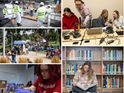 Collage hands on learning, studying and networking opportunities at Aims