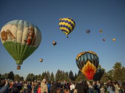 Crowd and Hot Air Balloons at Aims Aardvark Embark