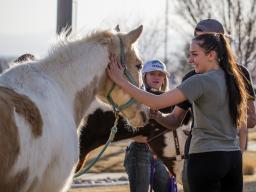 horses at Ag Day petting farm