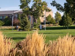 Greeley Campus building behind tall grass