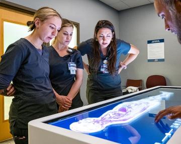 Aims Allied Health students use the Anatomage Table