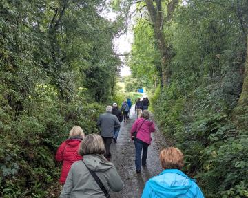 guided group walk along a country lane in rural Ireland