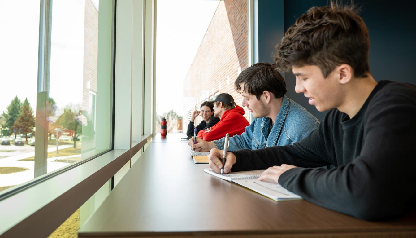 Aims Students Studying in Learning Commons