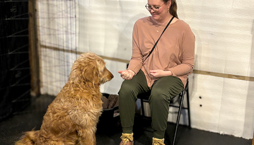 Dog Training at Aims