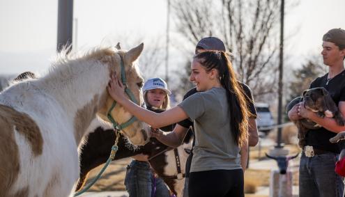 Petting a Horse at Ag Day