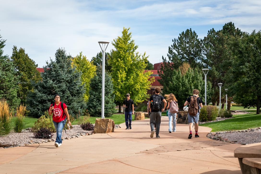 Students walking on a tree-lined Aims Greeley Campus path on a sunny day