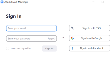 Zoom sign in with Google